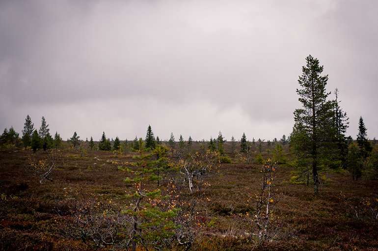 Sälen Östfjälsstugan 1