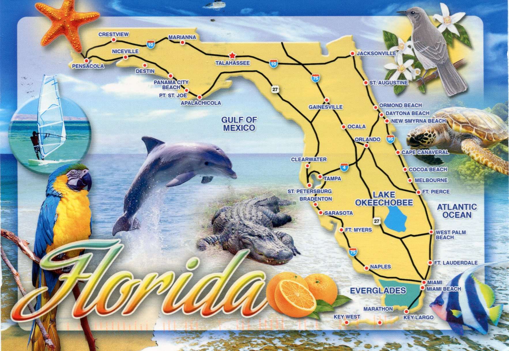 usa-florida-map