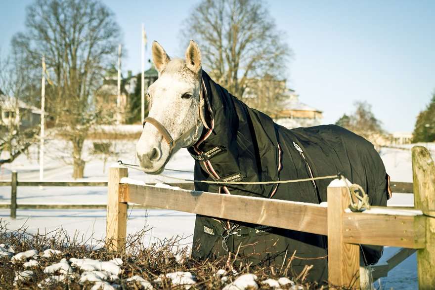 Såstaholm TRANINGSGLADJE.SE