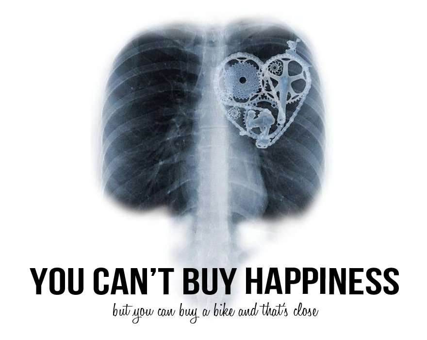 you cant buy happiness but you can buy a bike and thats close