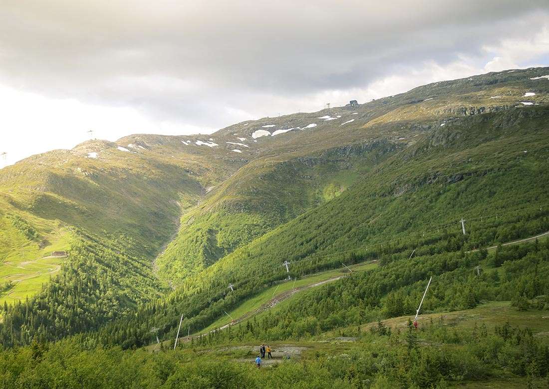 totthummeln åre