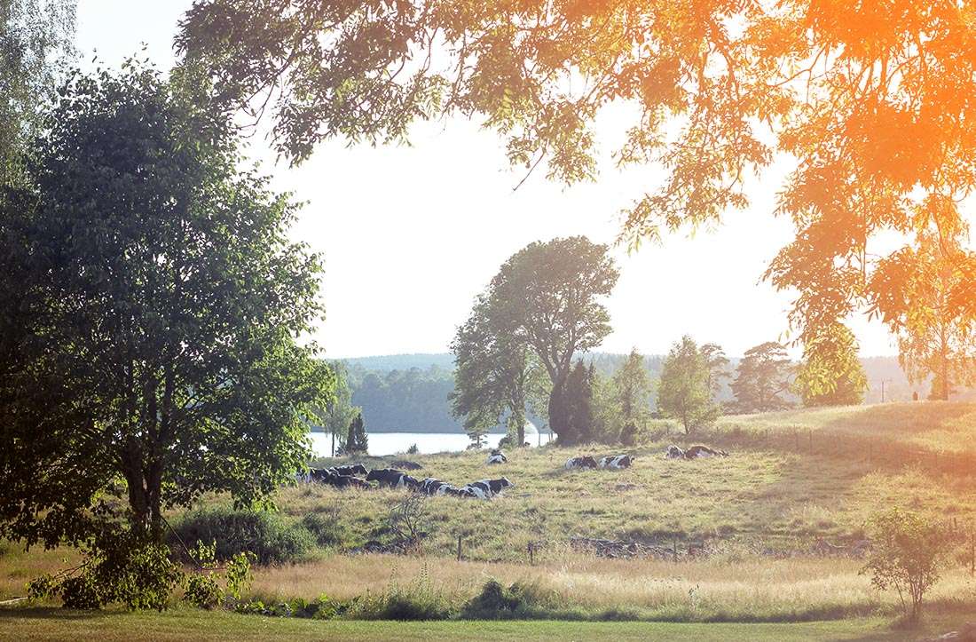 stuga i småland traningsgladje.se