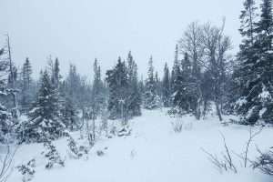 lillåstugan åre