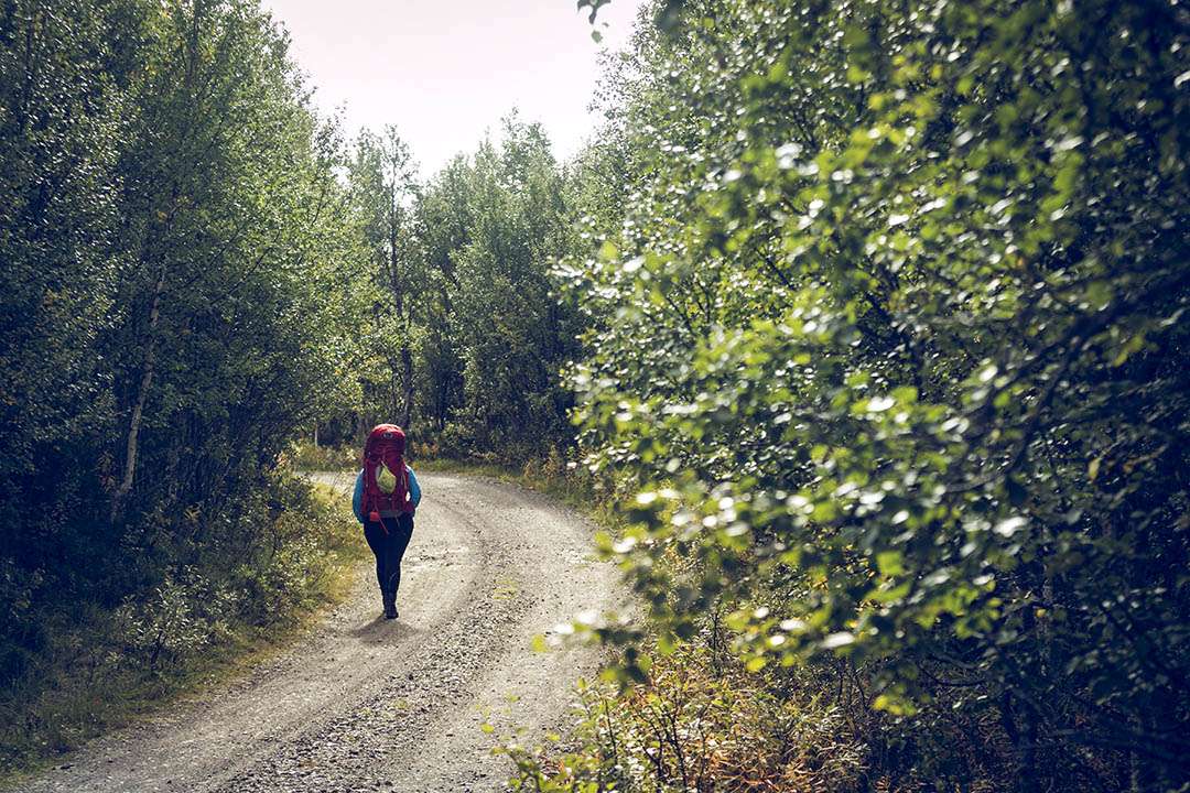 Dörrsjöarna vandring