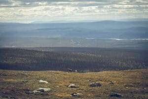 Dörrsjöarna vandring