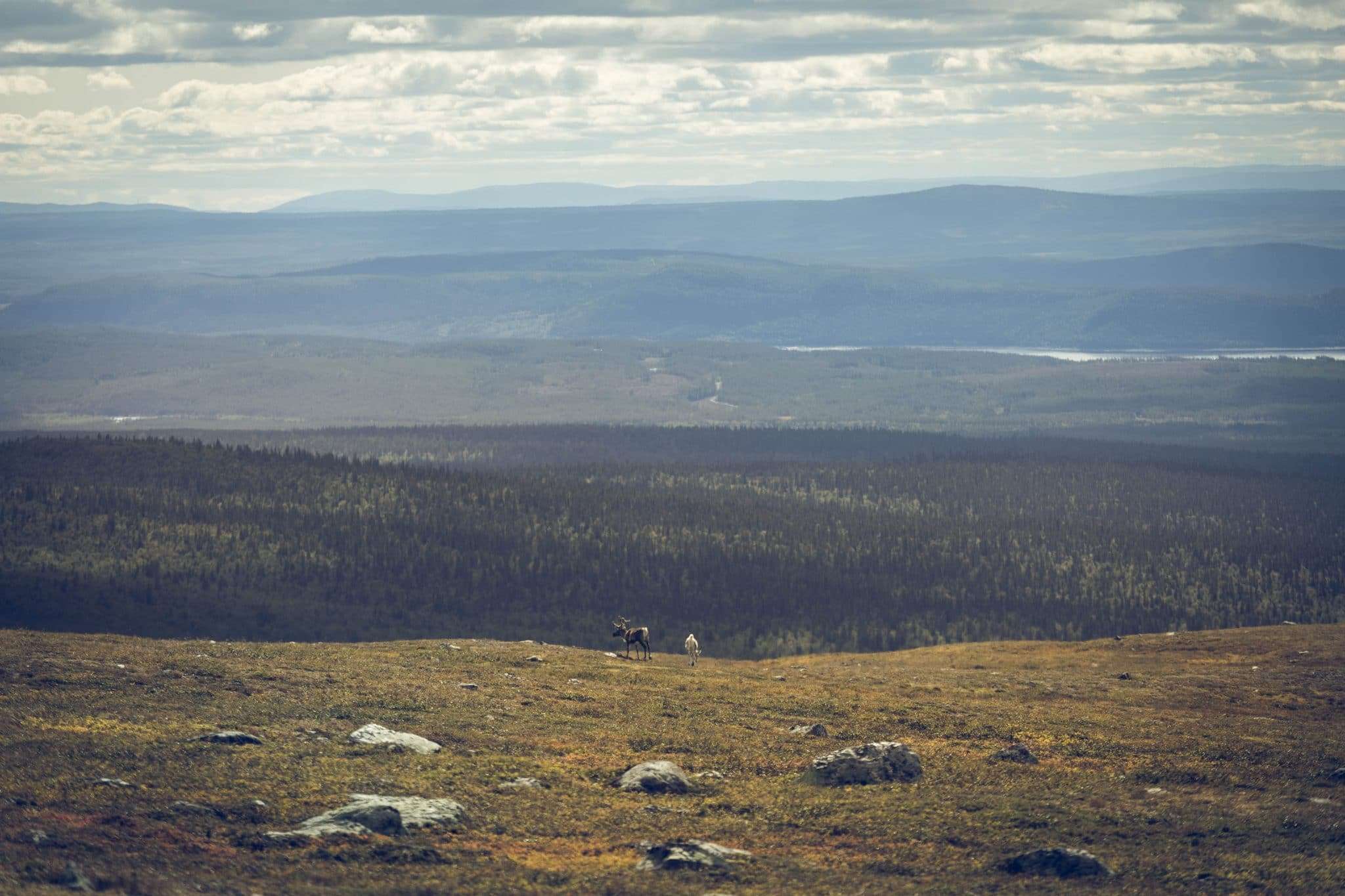 Dörrsjöarna vandring