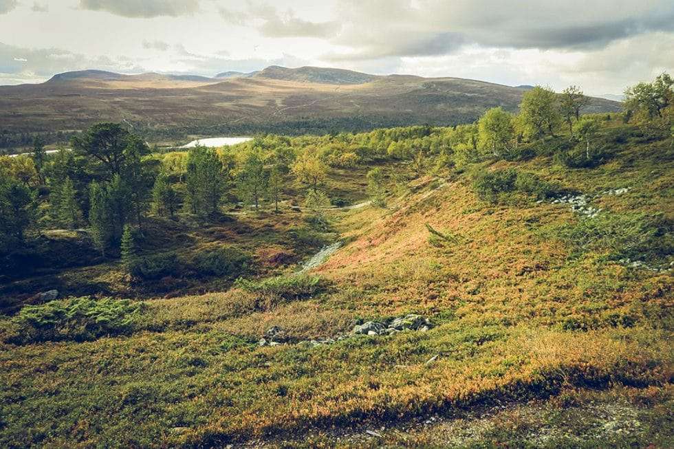 STF GRÖVELSJÖN