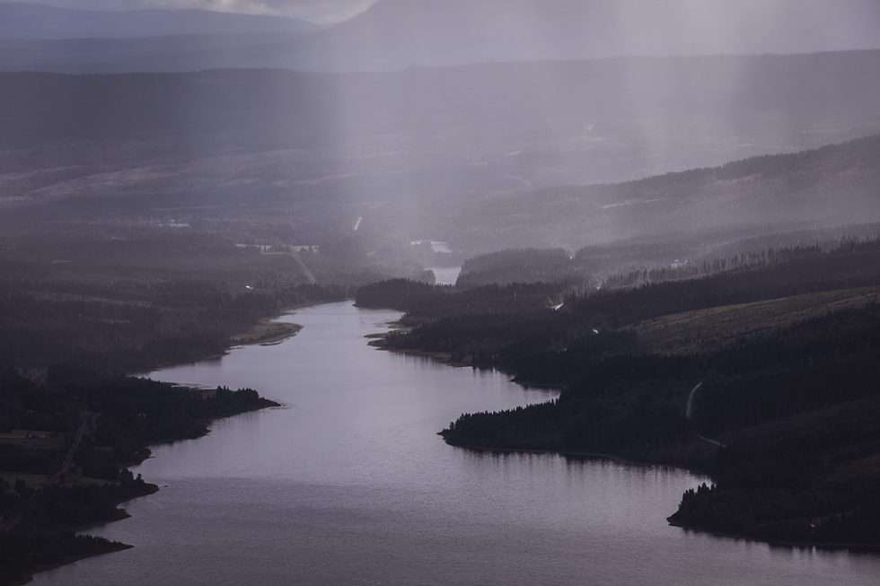 Åre Totthummeln
