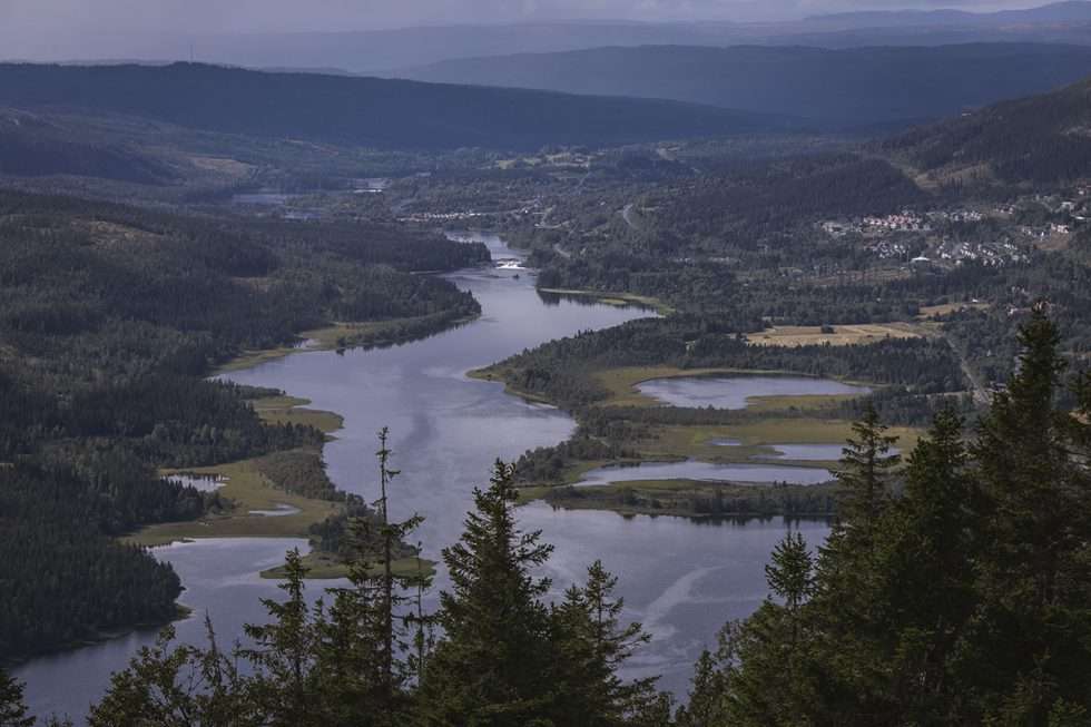 Åre Totthummeln