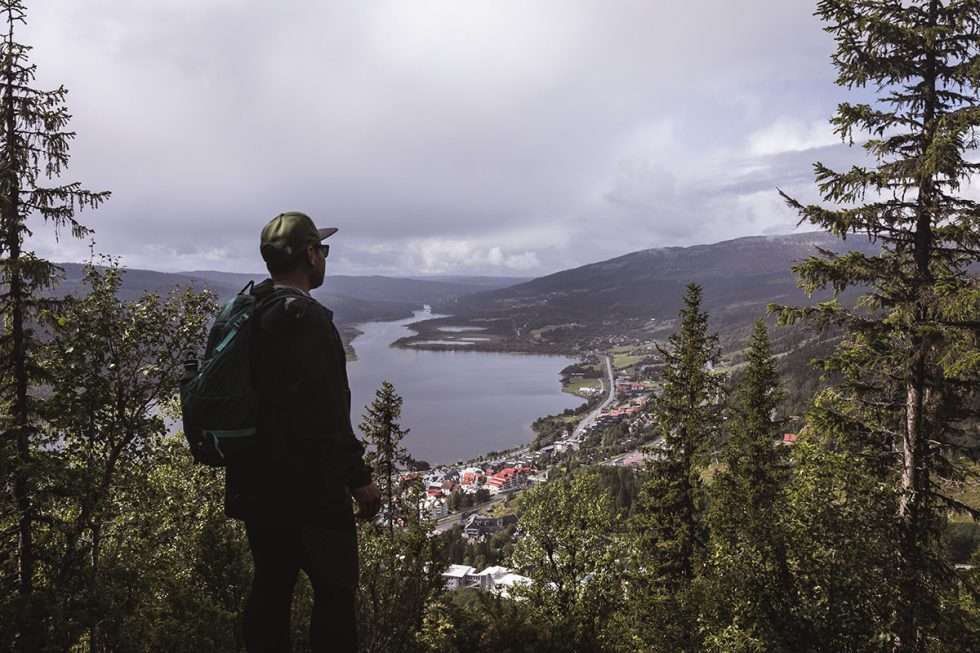 Åre Totthummeln