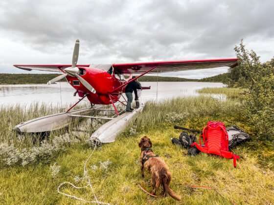 tur it på fjället med sjöflyg i gautosjö