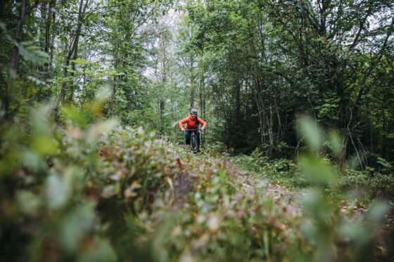 mtb-cykling i säfsen i fin skog med grön mossa