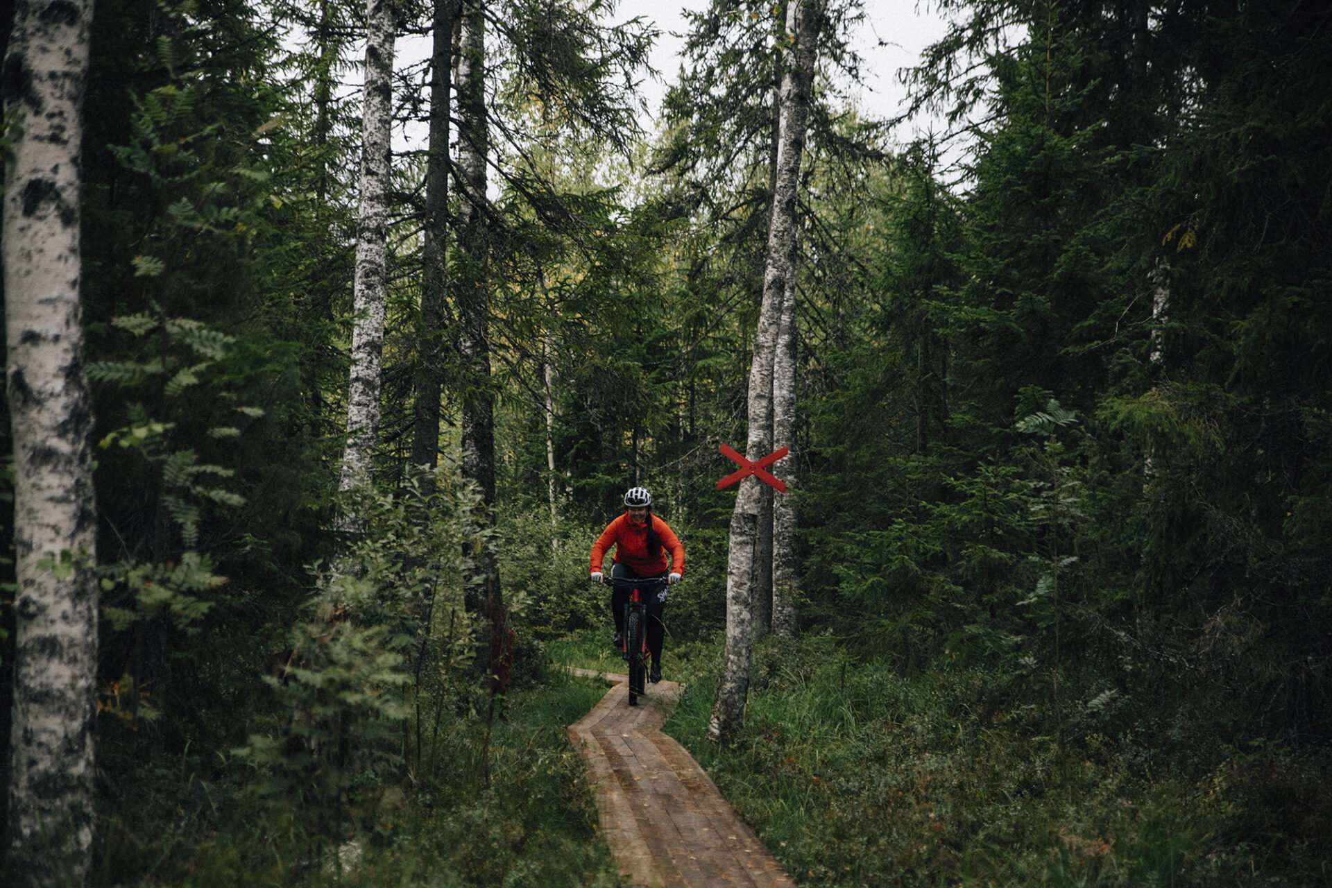 mtb-cykling i säfsen i fin skog med grön mossa