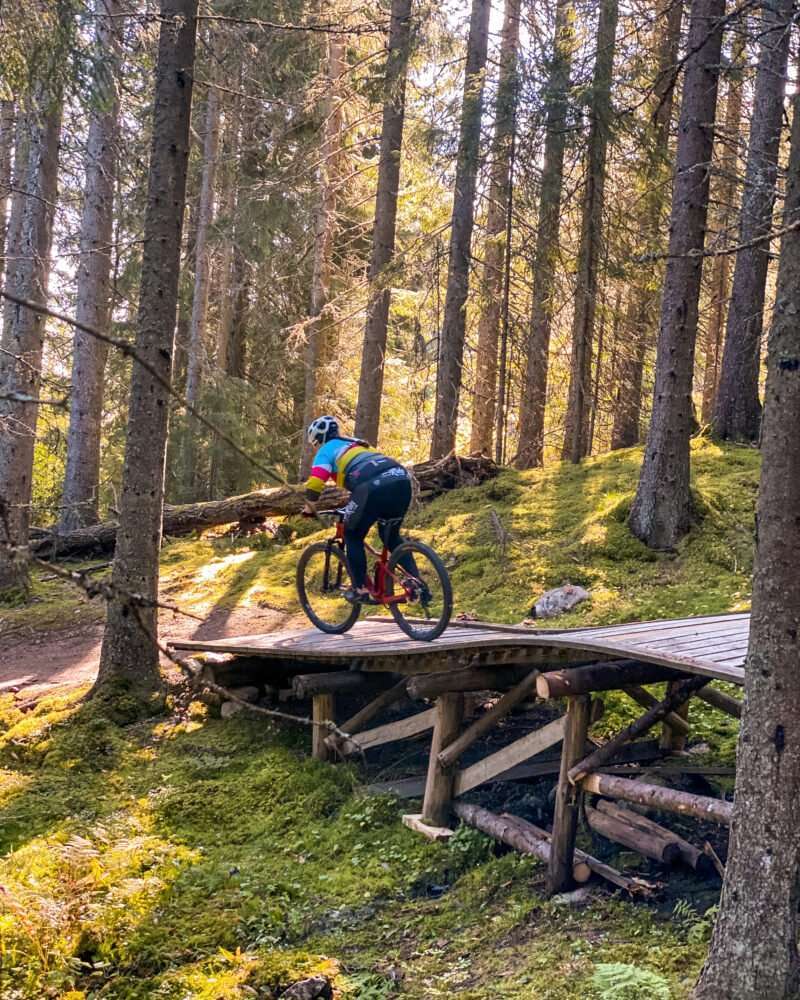 mtb-cykling i säfsen i fin skog med grön mossa