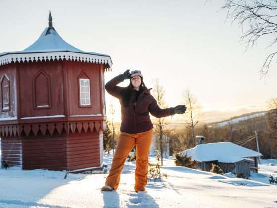 bergstugan fröå