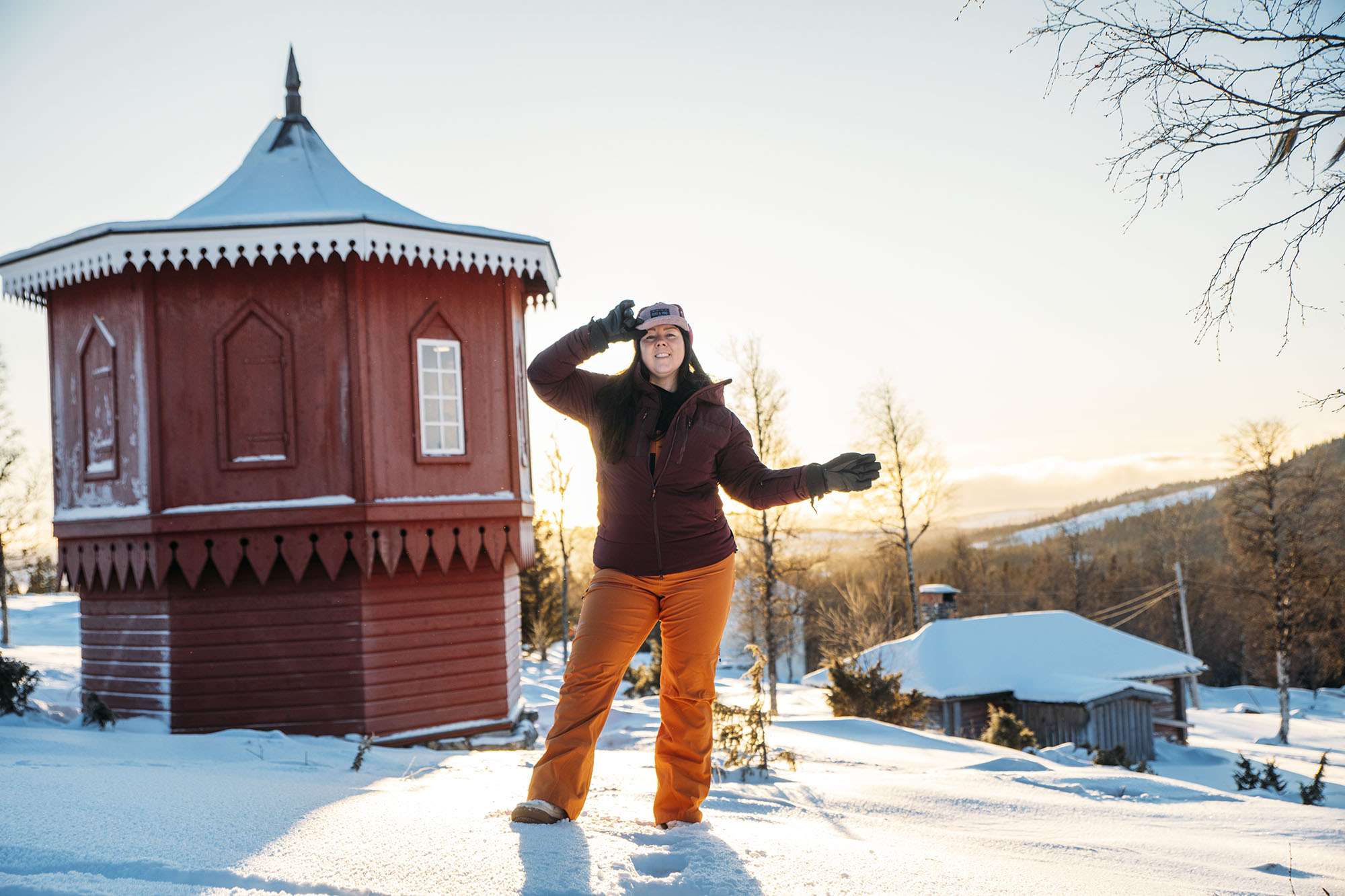 bergstugan fröå